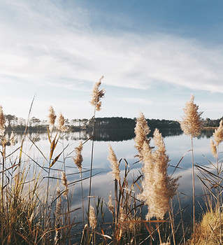 Image by Timothy Meinberg