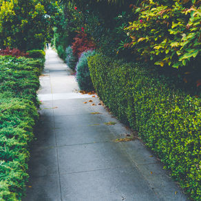 landscapers Services in Montego Bay