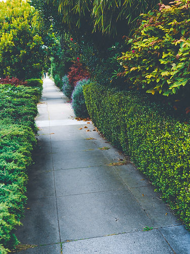 Image by Elizabeth Explores