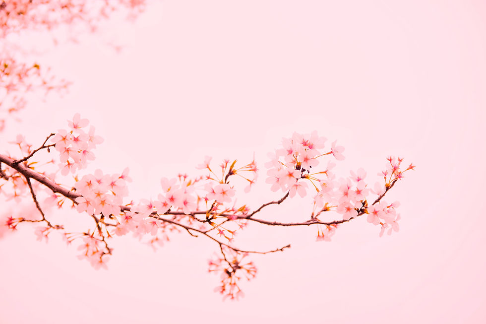 Image by Mi Min
