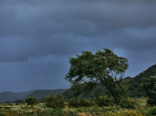 In the Philippines and southern China, thousands of people have been evacuated due to Typhoon Ragasa