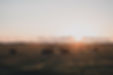 Image by Febiyan