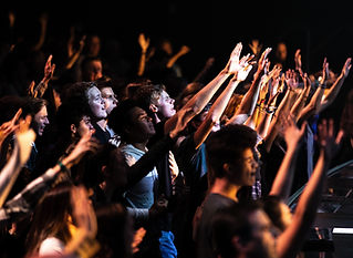 Image by NATHAN MULLET