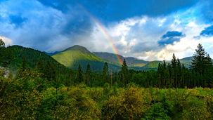 God's Promises