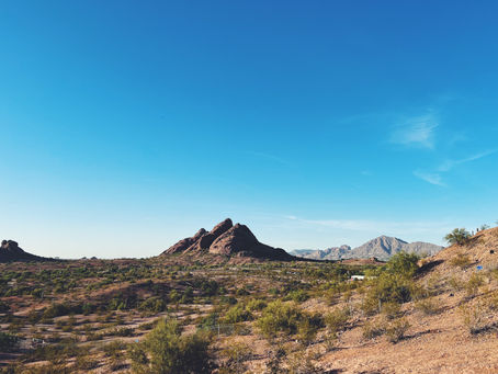 Swan's Picks for June 2