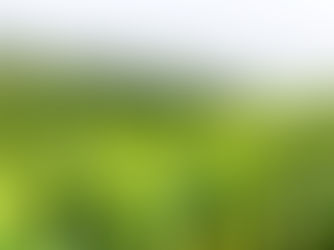 عندما ترتفع درجات الحرارة في الإمارات، تجد الراحة في سريلانكا – اهرب من حرارة الإمارات إلى المرتفعات الوسطى