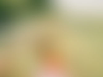 ゴルフスクール40年の歩み（１９８２）NGCコンペ多くなる