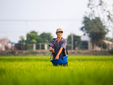 Cambodia's rice exports to international markets saw a remarkable surge during the first seven months of 2025, generating more than $1.2 billion in revenue, a significant increase of nearly 15% compared to the same period last year.