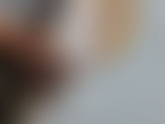 法國麵粉 ep.1 : 法國麵粉型號簡介