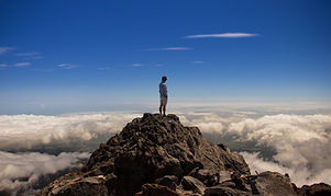 Image by Pascal Habermann
