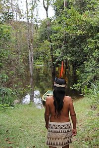 Image by Deb Dowd