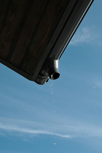 Image by Pavlo Rekun