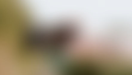 What Does My "Selfie" Say