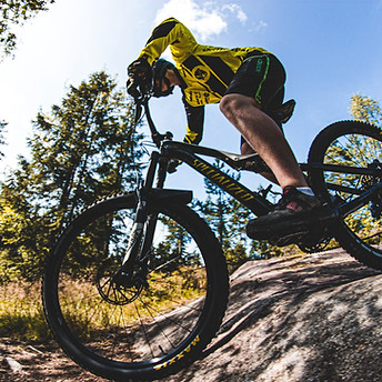 Image by Tobias Bjerknes