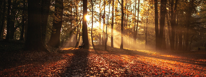 Die Sitzung ähnelt einem netten Gespräch. Ablauf der Sitzung: Symbol, ich darf Sie als Person wahrnehmen, ich schaue, wer sich aus der geistigen Welt für Sie melden möchte.