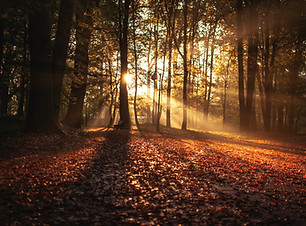 Image by Erik Witsoe