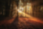 Deep Resonance: Fall Equinox