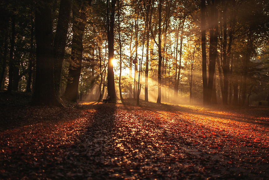 Image by Erik Witsoe