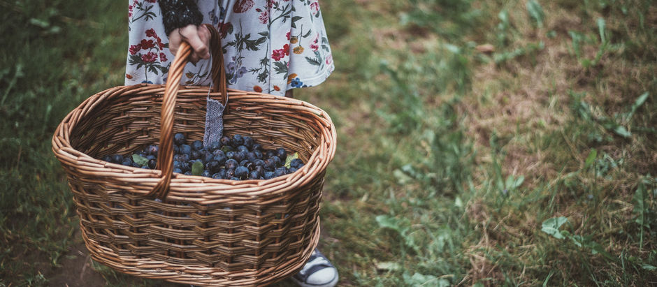 Fruit of Her Hands: Day Five