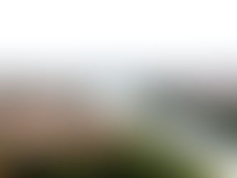 我在義大利「愛情之都」維洛納重溫「羅密歐與茱麗葉」愛情悲劇的感想