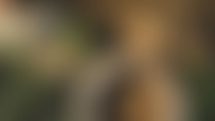 Christmas, reimagined: small swaps for a more sustainable festive season