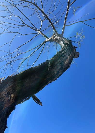 Image de Jan Canty
