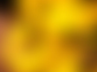 Comment gérer les piqûres de guêpes ou d'abeille chez les jeunes enfants