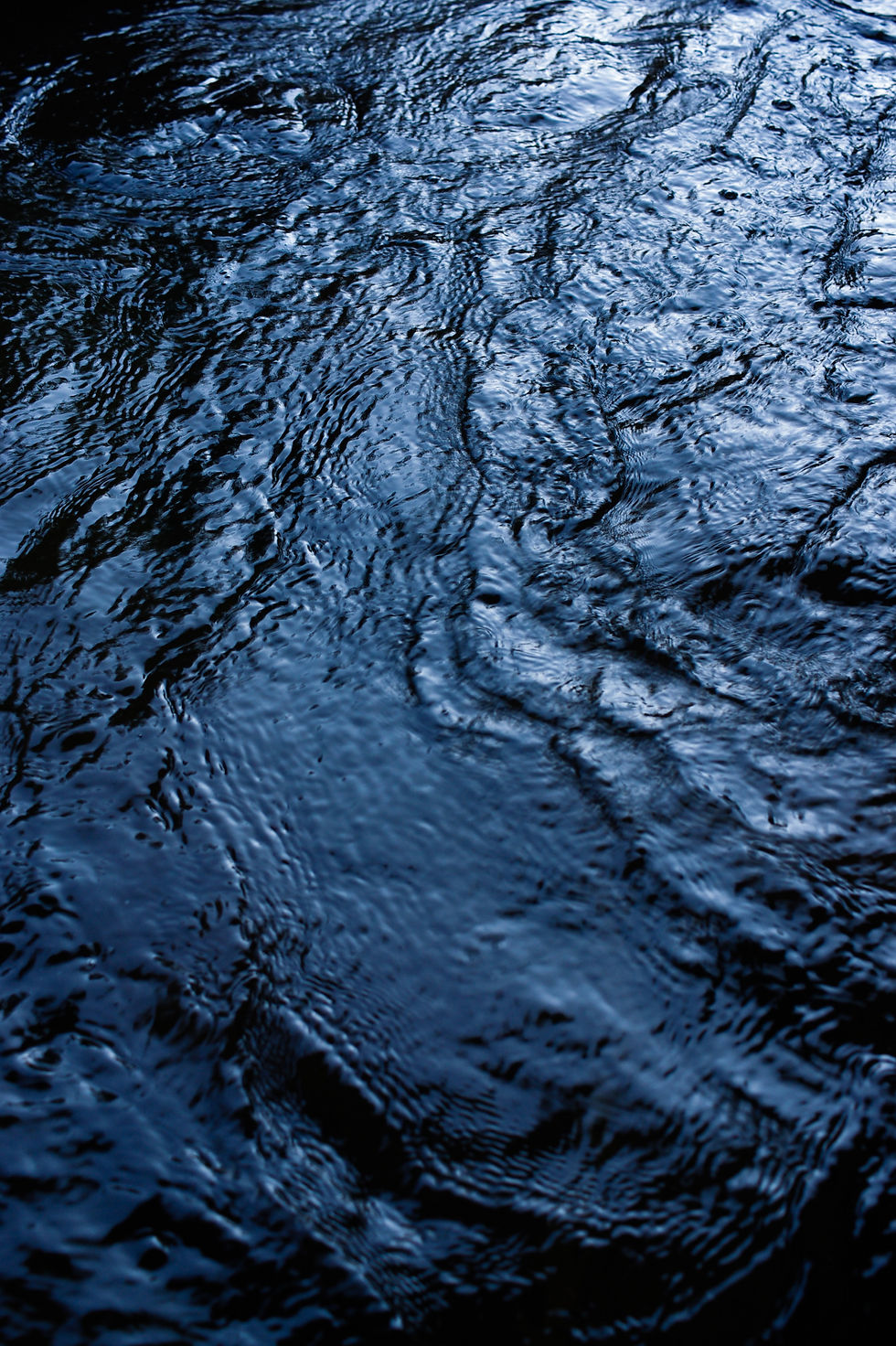Image de Nate Bell