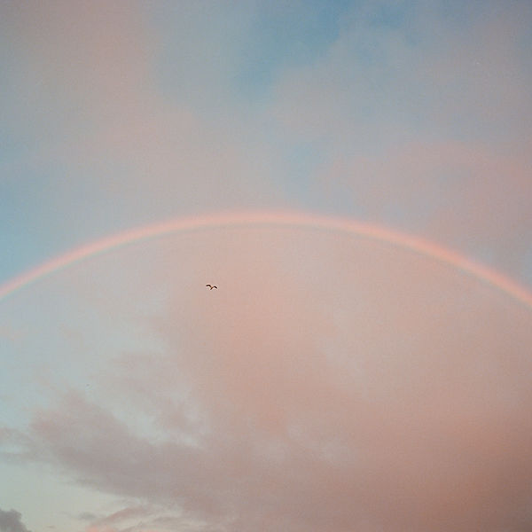 Image by Motoki Tonn