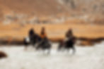 Horses riding across a river in an arabian horse endurance ride
