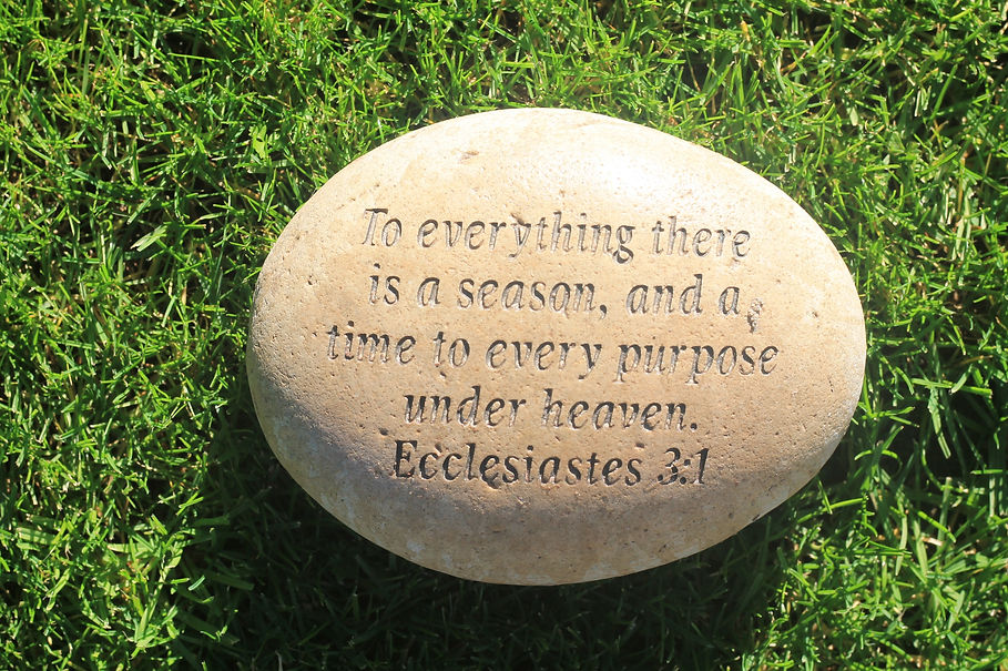 Image by Riviera Pearls