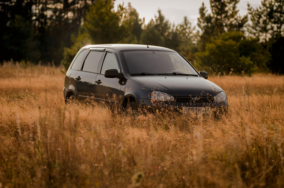 What Car Fits Me - Best Car for Rural Driving: Choose for Real Life