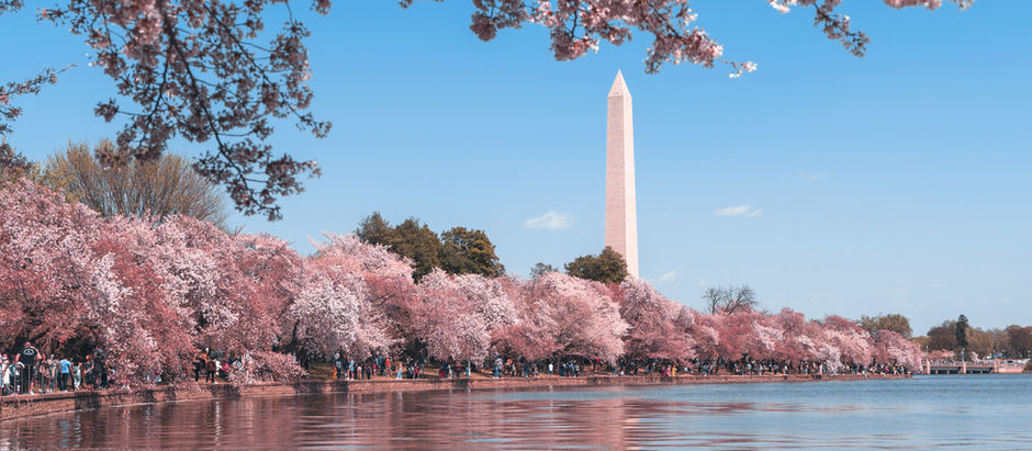 Washington, D.C. – Die schönsten Sehenswürdigkeiten und Geheimtipps für deine Reise