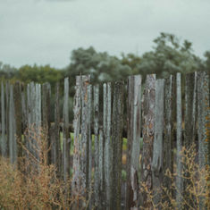 What to Do When You Don’t Know What to Do (Psalm 62:5-7 [8])