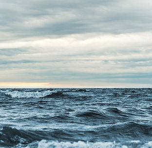 Image by Ant Rozetsky