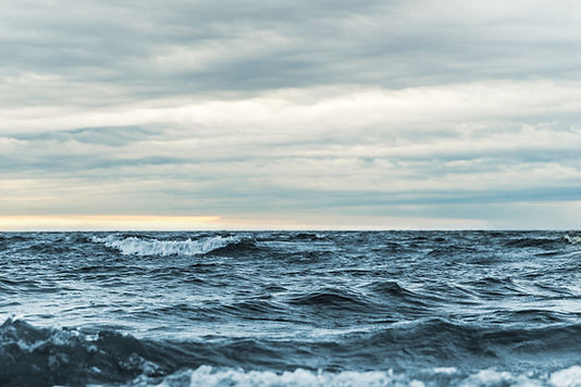 Image by Ant Rozetsky