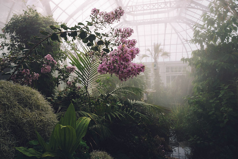 Image by Echo