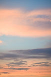 Image by Davies Designs Studio