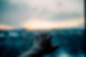 Image by Alexander Lam
