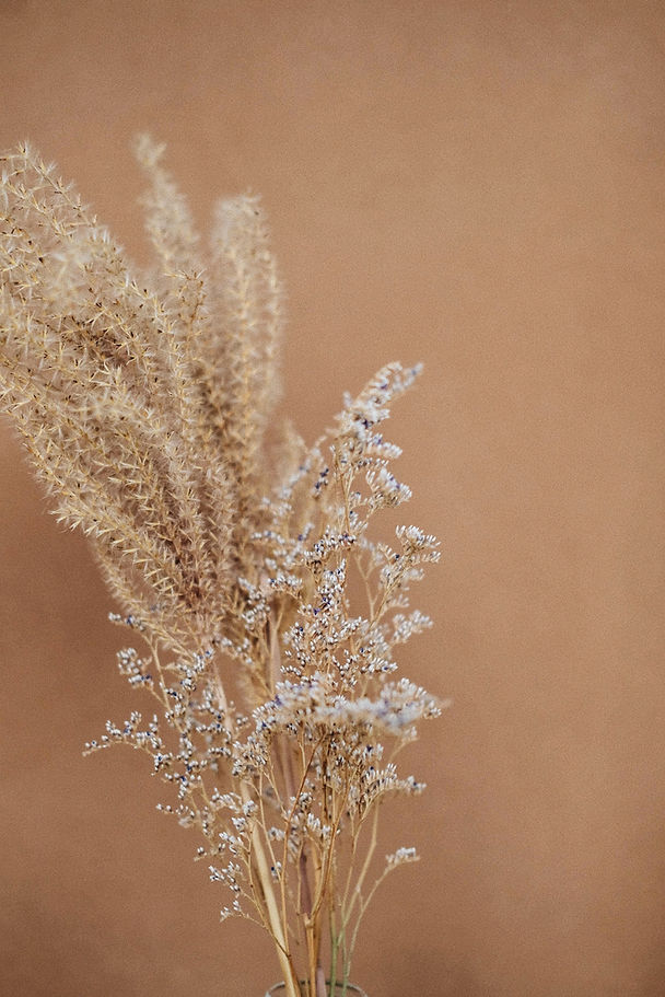 Image by Laurice Manaligod