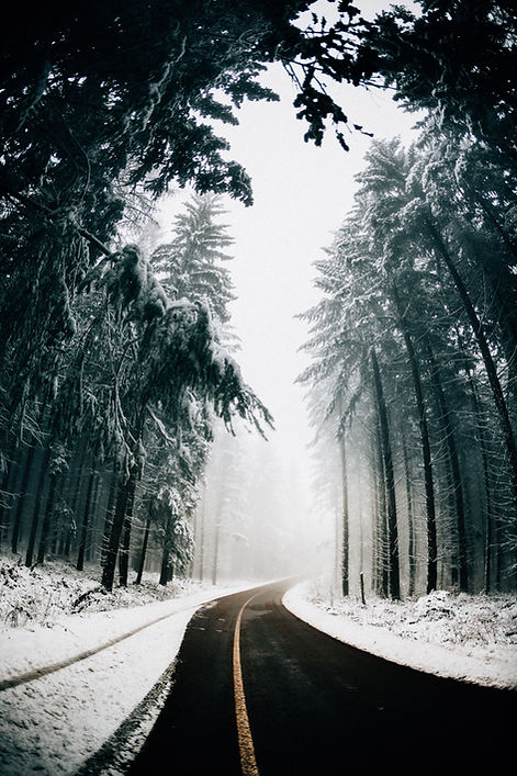 Image by Filip Zrnzević