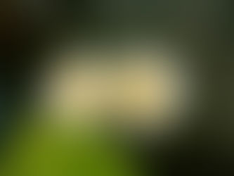 瞑想の実践に関する質疑応答