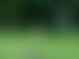 Le feuilleton jeunesse du samedi : Tali Nohkati, la grande traversée par Koza Belleli (5)