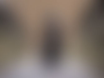 Canine Conditions: Hip Dysplasia