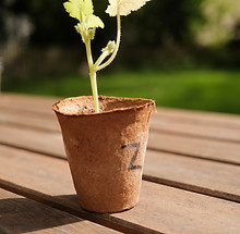 Image by Simeon Birkenstock