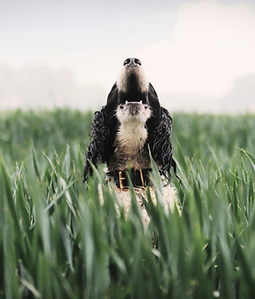 Image by Rafaëlla Waasdorp