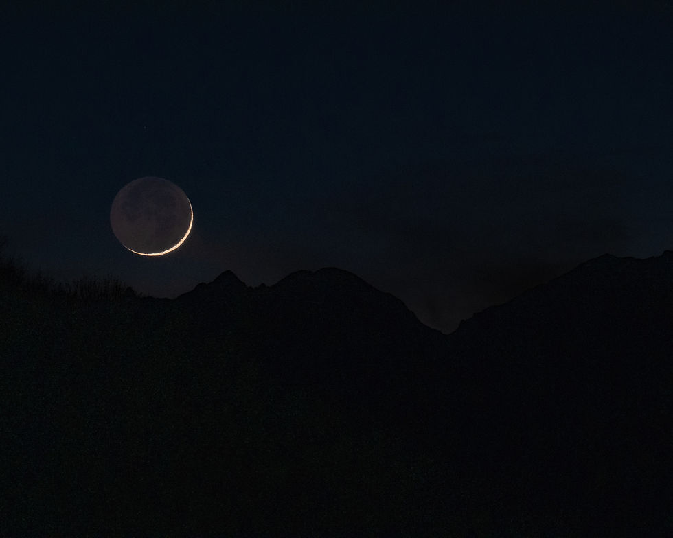 Image by Martin Adams