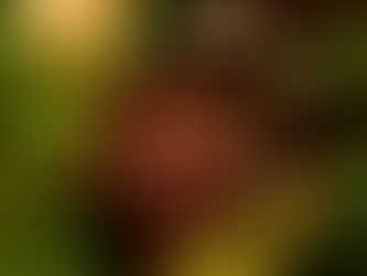 Jesus is the reason for the season!