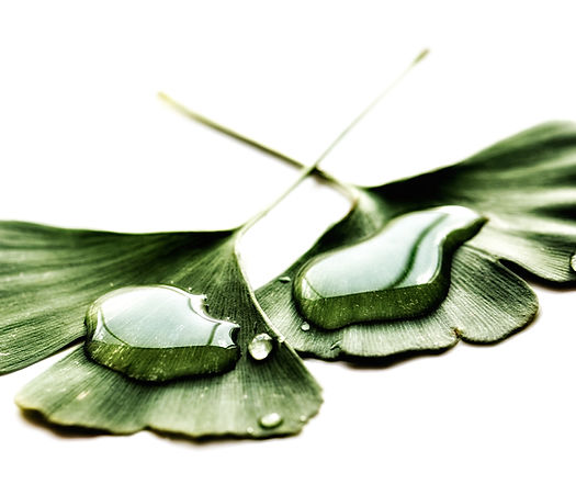 Image by Gareth Hubbard