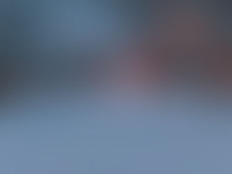 A lost bull in winter